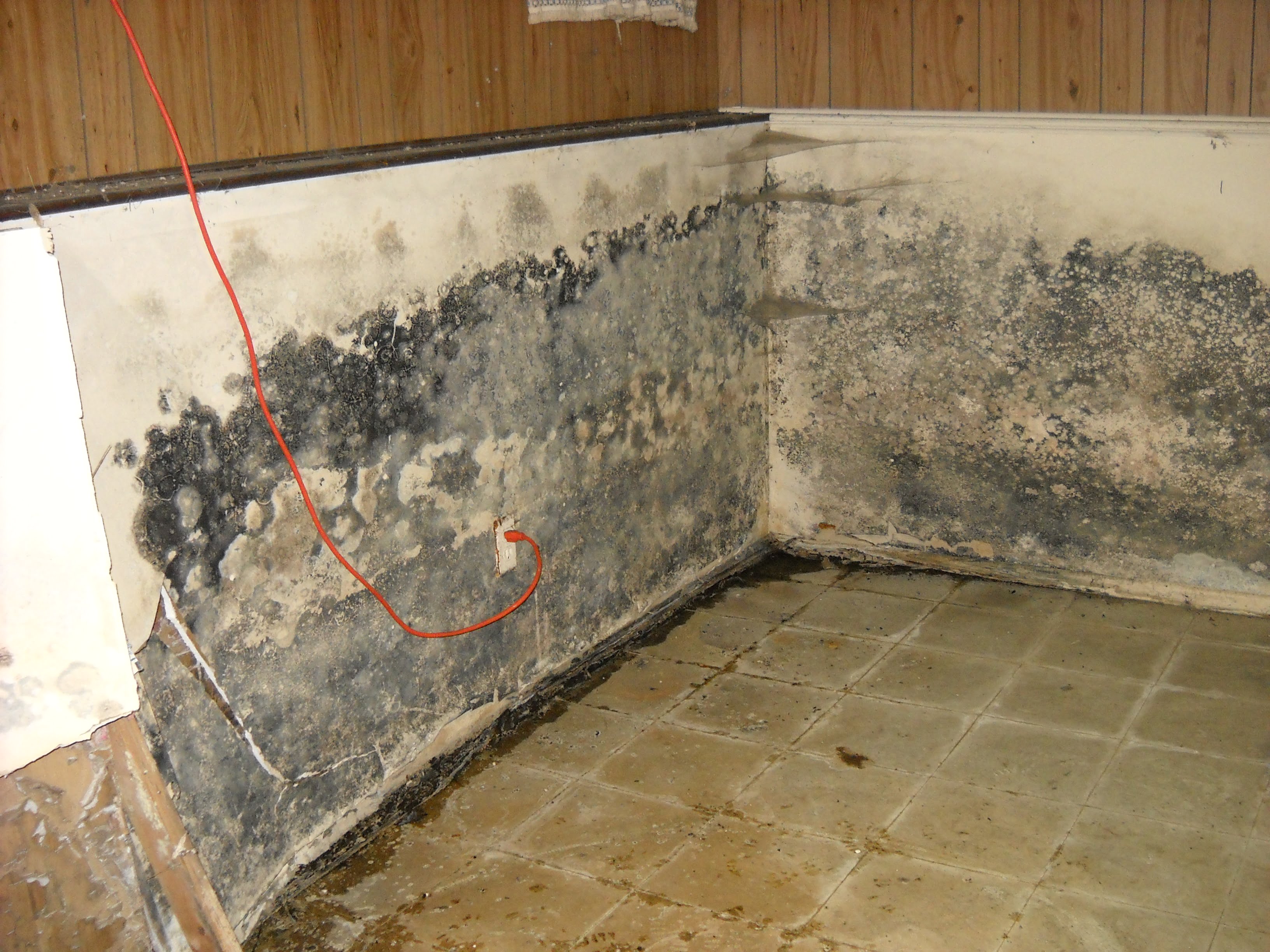 Waterproofing Your Basement to Protect Yourself From Mold
