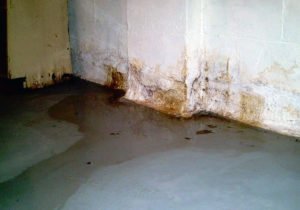 foundation-waterproofing-long-island-ny-boccia-inc-waterproofing-specialists-1